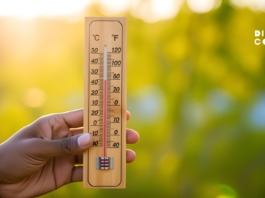 45°C Is Not Just Summer Anymore — It’s Slowly Damaging Your Heart, Brain & Kidneys